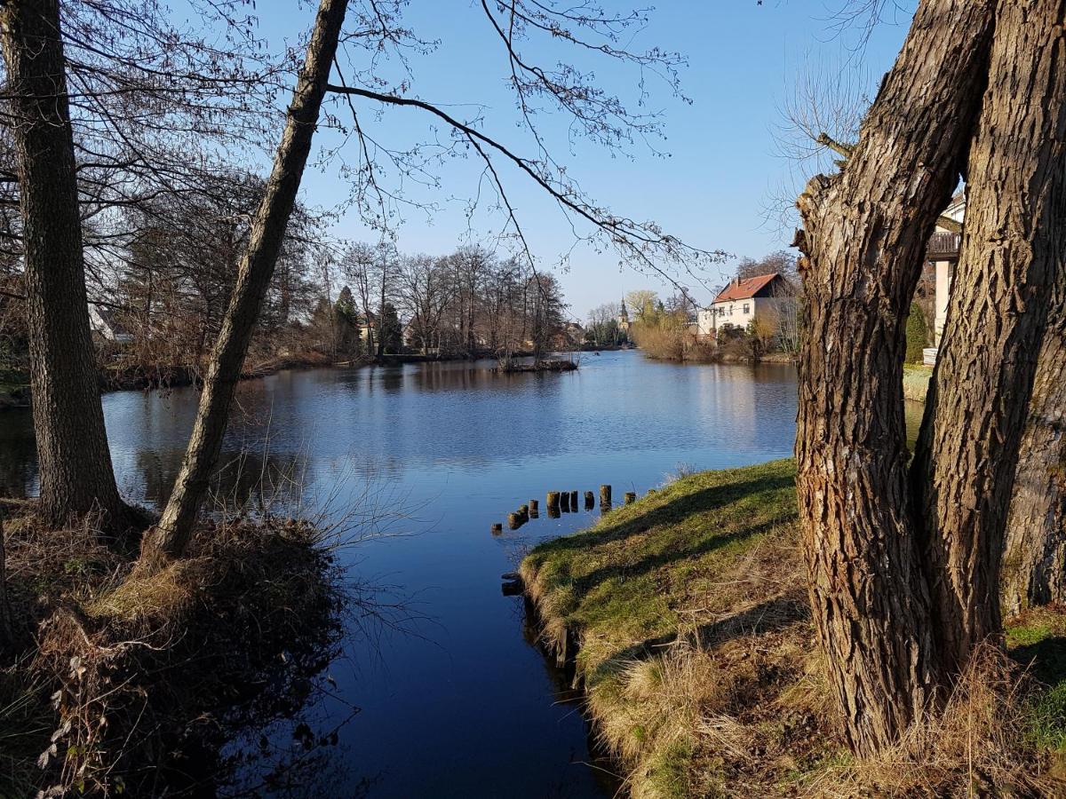 Zum Eulennest Daire Dresden Dış mekan fotoğraf
