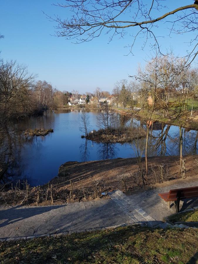 Zum Eulennest Daire Dresden Dış mekan fotoğraf