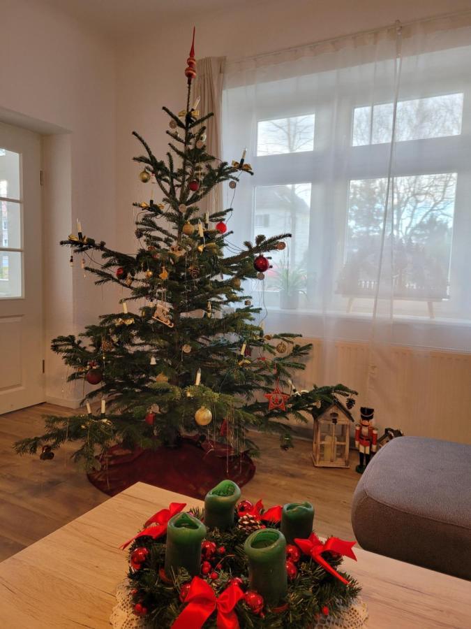 Zum Eulennest Daire Dresden Dış mekan fotoğraf